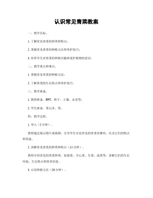 认识常见青菜教案