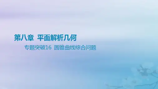 2025版高考数学一轮总复习第八章平面解析几何专题突破16圆锥曲线综合问题课件