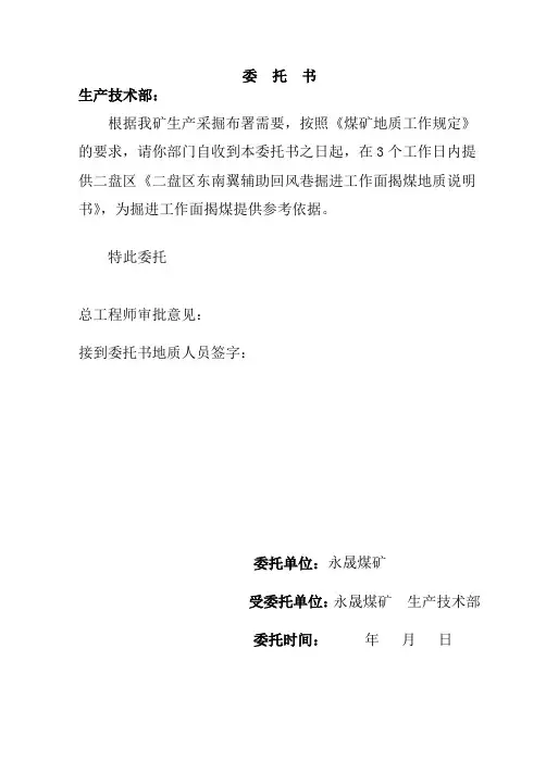 揭煤地质说明书2020