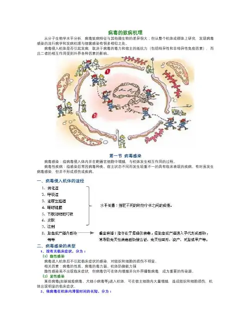 病毒的致病机理