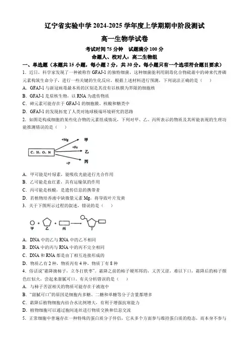 辽宁省实验中学2024-2025学年高一上学期期中考试生物试题(含答案)