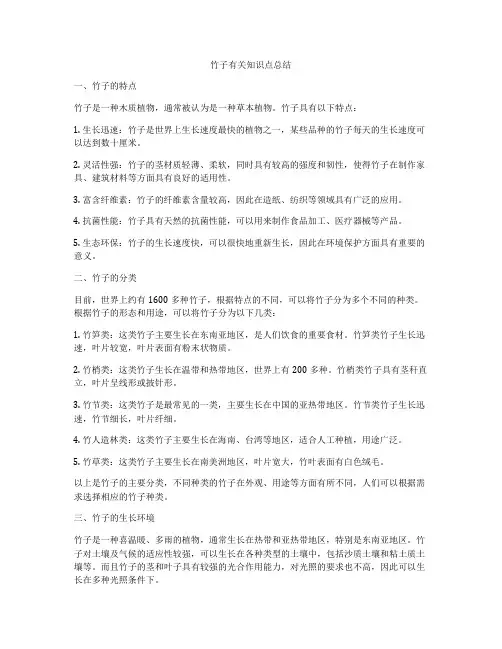 竹子有关知识点总结