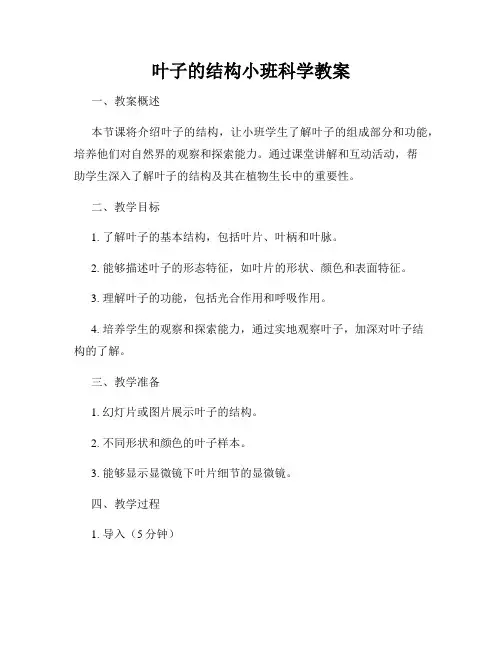 叶子的结构小班科学教案