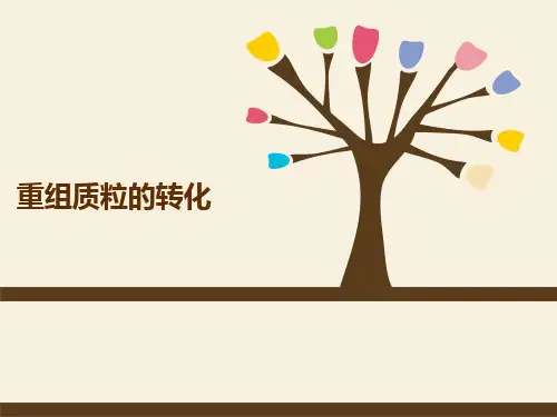 重组质粒的转化.ppt