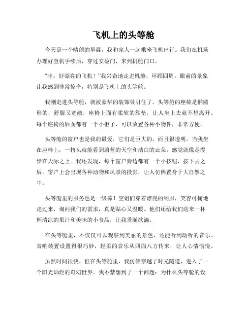 小学三年级作文这儿真美范文飞机上的头等舱