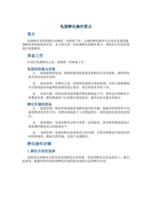 龟蛋孵化操作要点