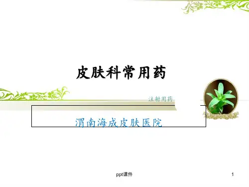 皮肤科常用药  ppt课件
