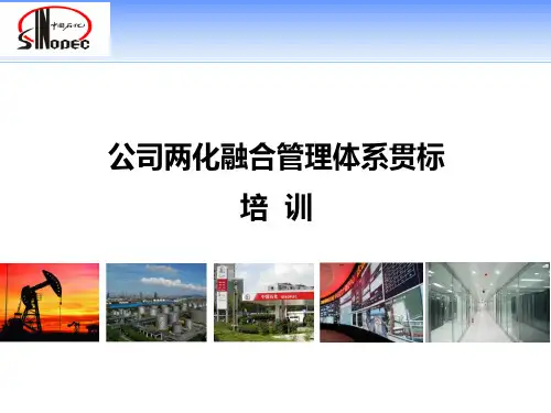 两化融合管理体系贯标培训资料大全