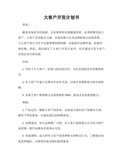 大客户开发计划书