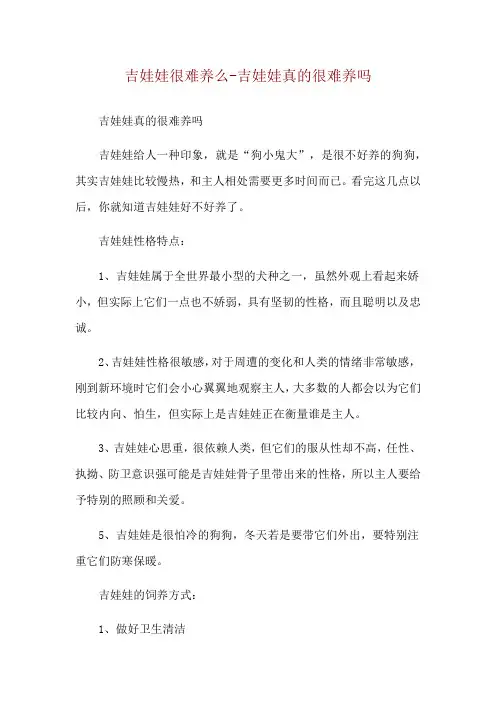 吉娃娃很难养么-吉娃娃真的很难养吗