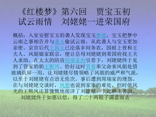 《红楼梦》第六回 贾宝玉初试云雨情 刘姥姥一进荣国府鉴赏