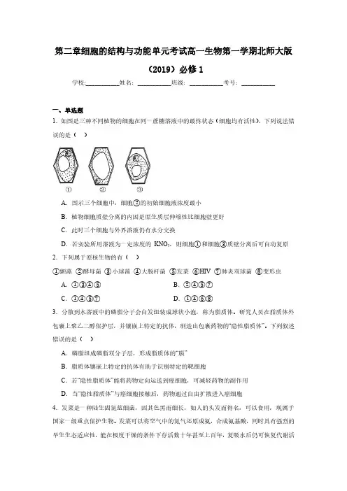第二章细胞的结构与功能(含解析)高一生物2023-2024第一学期北师大版(2019)必修1