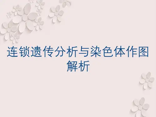 连锁遗传分析与染色体作图解析