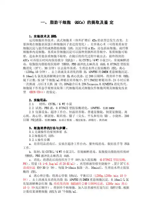 脂肪干细胞的提取及鉴定