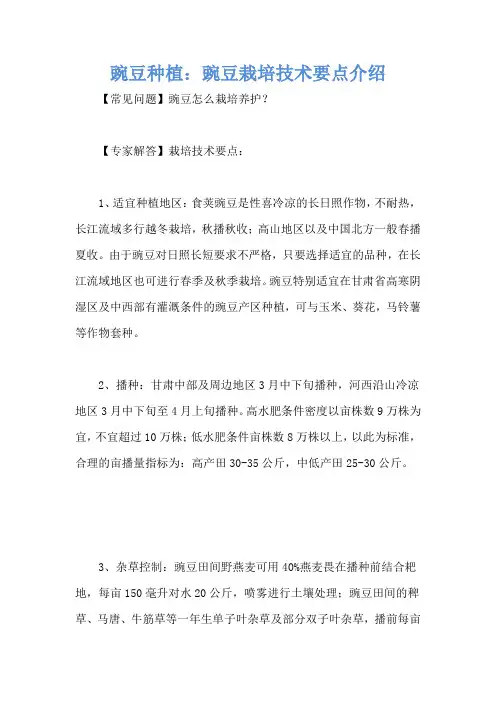 豌豆种植：豌豆栽培技术要点介绍