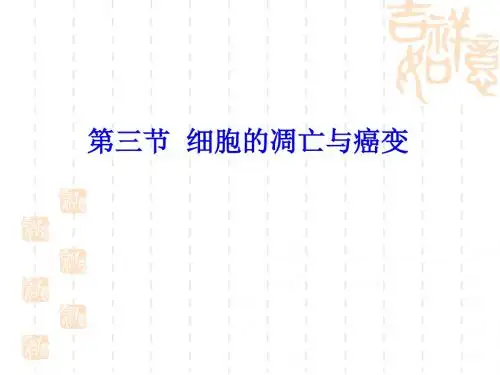 高中生物 第三节细胞的凋亡与癌变.ppt