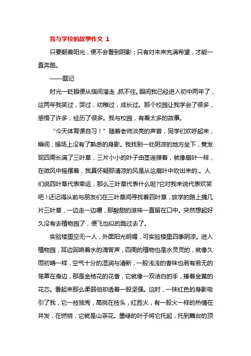 我和学校的故事作文800字初一