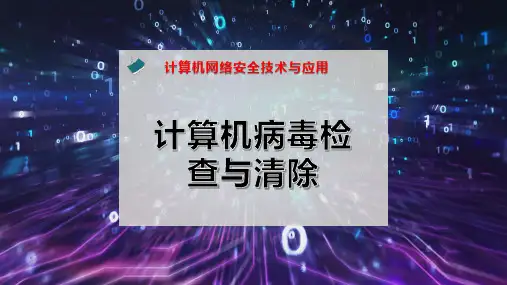 计算机病毒检查与清除
