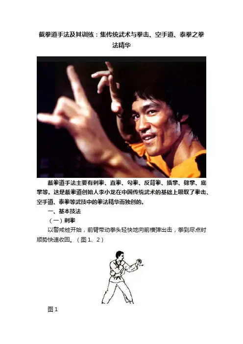 截拳道手法及其训练：集传统武术与拳击、空手道、泰拳之拳法精华