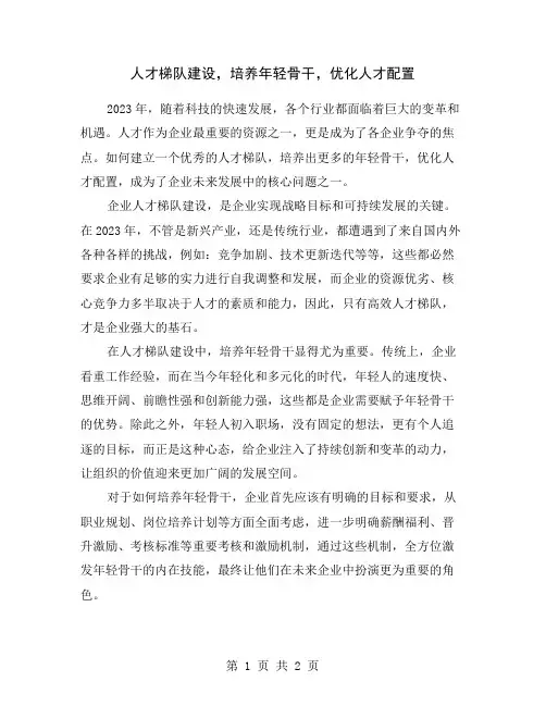 人才梯队建设,培养年轻骨干,优化人才配置
