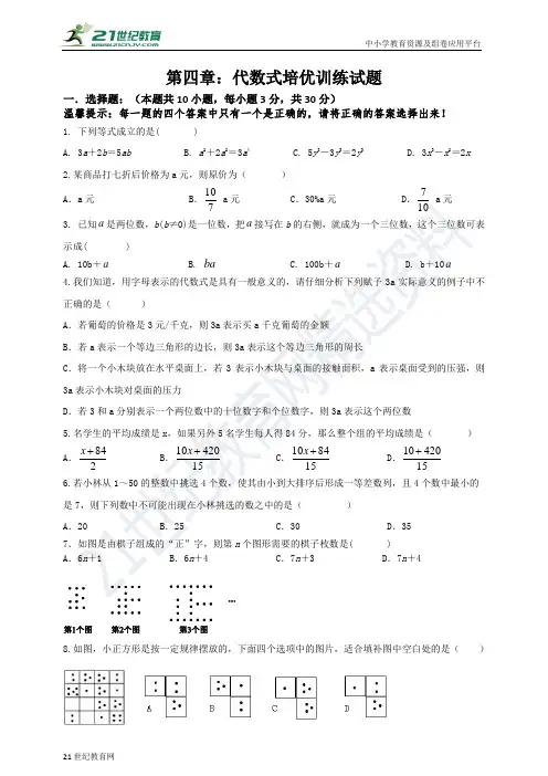 第四章 代数式培优训练试题（含解析）