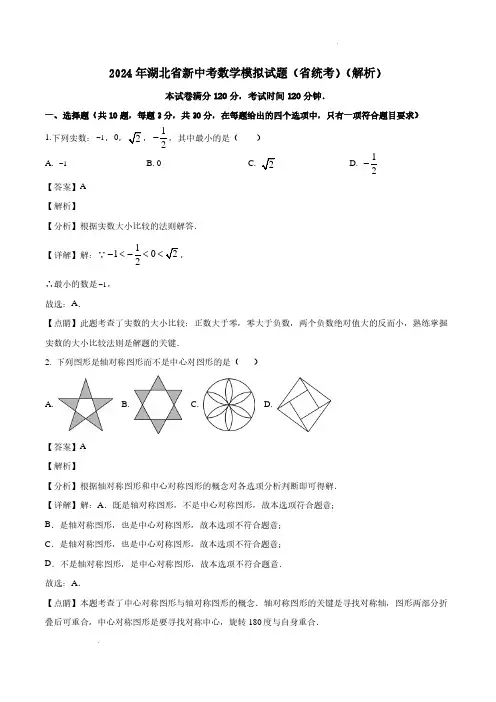 2024年湖北省新中考数学模拟试题(省统考)(解析)