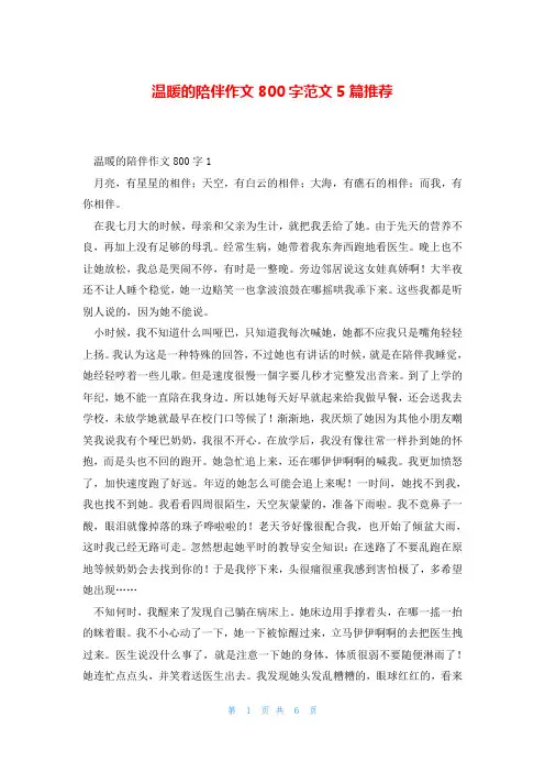 温暖的陪伴作文800字范文5篇推荐