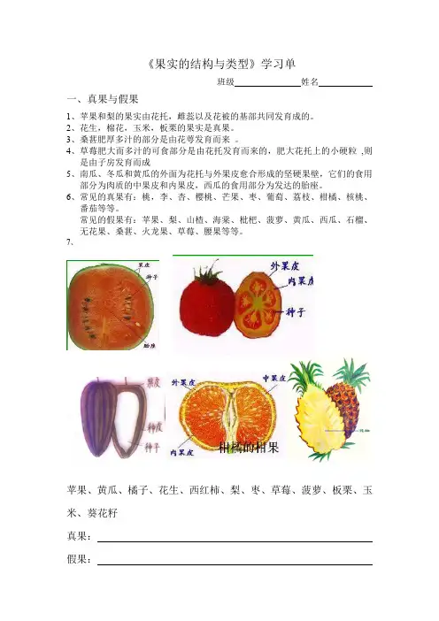 果实的结构与类型