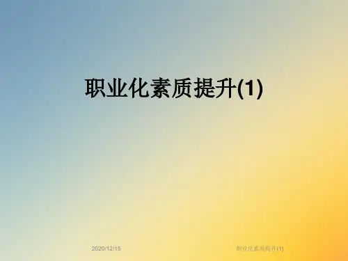 职业化素质提升(1)