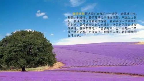 普罗旺斯
