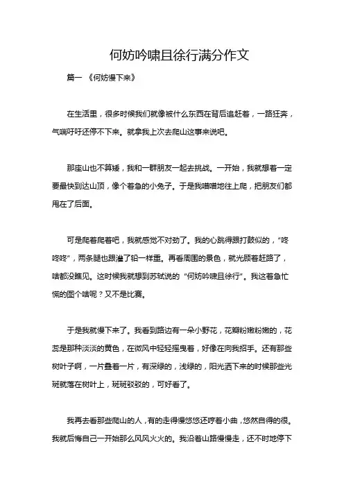 何妨吟啸且徐行满分作文