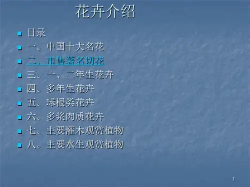 02中国十大名花ppt课件