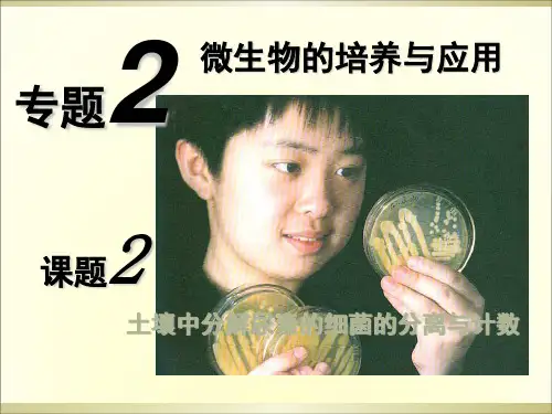 土壤中分解尿素的细菌的分离与计数ppt课件