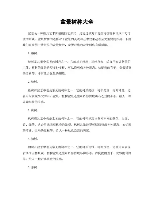 盆景树种大全