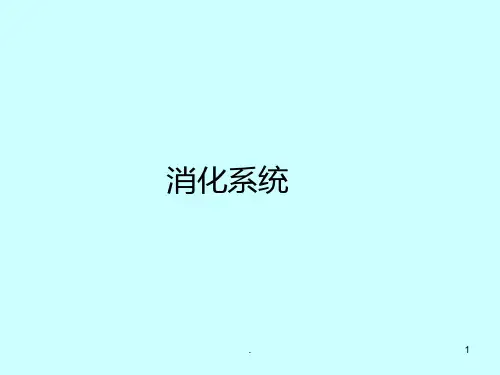 组织胚胎学-消化系统PPT课件