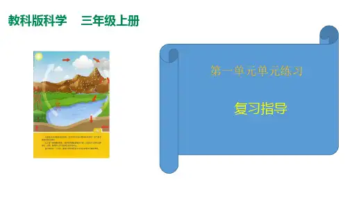 教科版(2017秋)三年级科学上册第1单元单元练习复习(课件12张ppt)