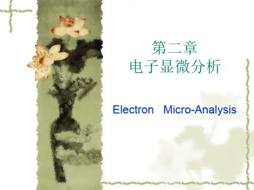 厦门大学材料学院 考研复试 材料测试方法   08 TEM&SEM