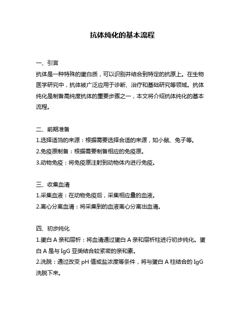 抗体纯化的基本流程