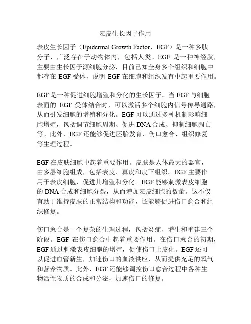 表皮生长因子作用