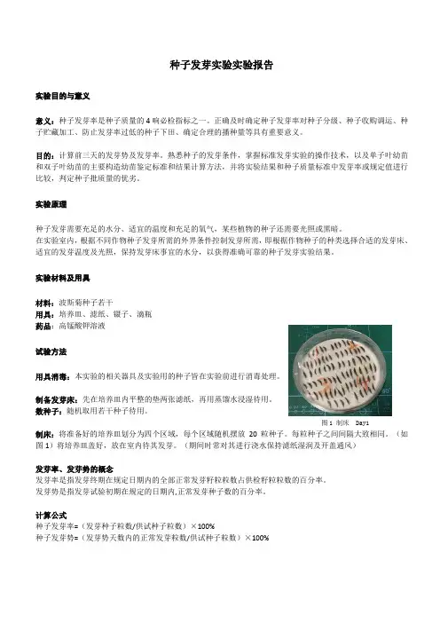 种子发芽实验报告