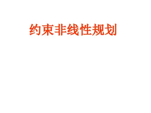 数学建模_非线性规划模型用MATLAB++LINGO