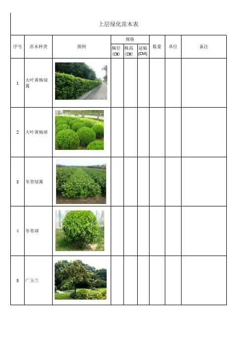 植物苗木表