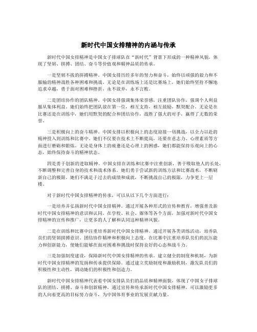 新时代中国女排精神的内涵与传承