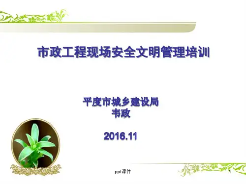 新市政工程现场安全管理培训  ppt课件