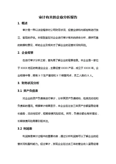 审计有关的企业分析报告