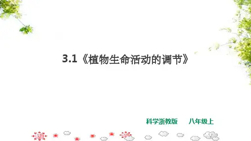 八上科学 3.1《植物生命活动的调节》