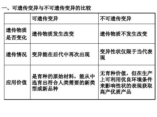基因突变和基因重组一轮复习ppt课件