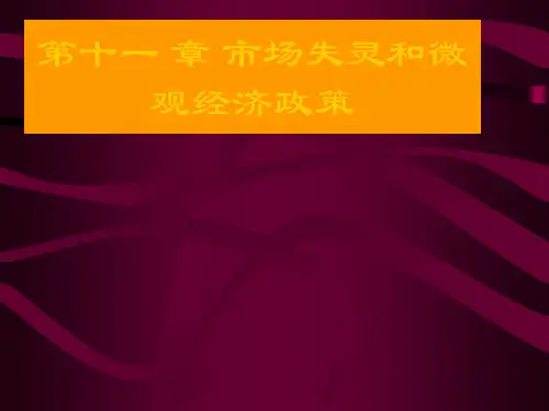 章 市场失灵和微观经济政策(定幻灯片PPT