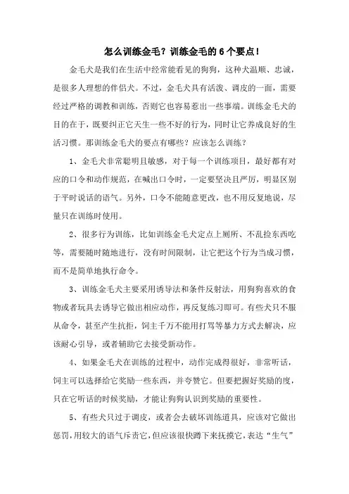 怎么训练金毛？训练金毛的6个要点!