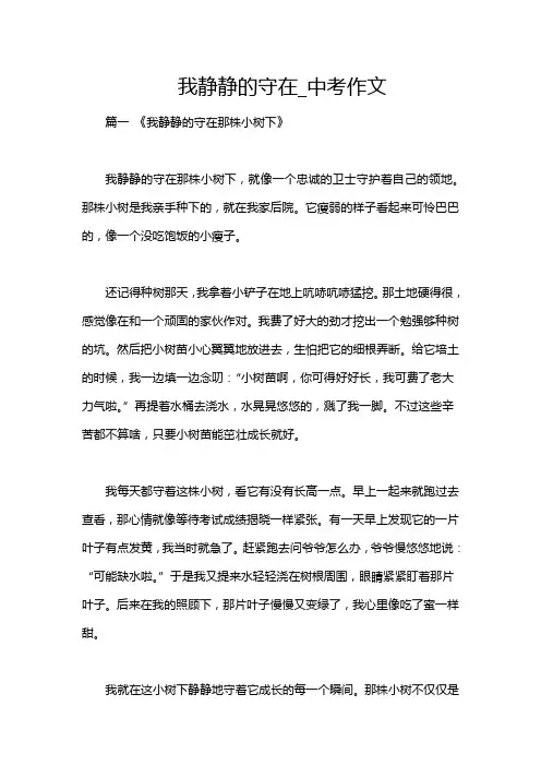我静静的守在_中考作文